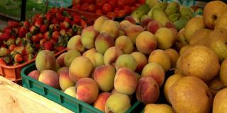 Mercados Campesinos este fin de semana en Usaquén y Barrios Unidos