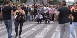 100 días respetando todas las formas de vida en Bogotá 100 días respetando todas las formas de vida en Bogotá