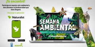 Imagen. Secretaría de Ambiente.