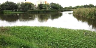 Recorrido interpretativo por el Humedal Santa María del Lago