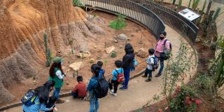 Jardin Botánico en vacaciones