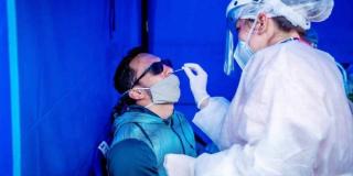 realizando prueba con isopo