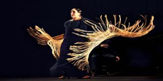 Agrupaciones de Es Cultura Local llegan al Julio Mario Santo Domingo