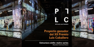 Mauricio Carmona gana el XII Premio Luis Caballero