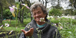 Convocatoria para prestar el servicio Comunidad de Cuidado Bogotá 2024