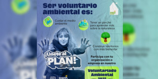 Convocatorias en Bogotá: participa en Voluntariado Ambiental 2025