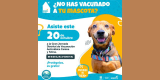 Jornada de Vacunación Antirrábica Canina y Felina en Bogotá el domingo