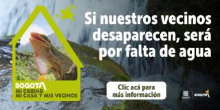 Las especies de la película de Vecinos Inesperados de Bogotá