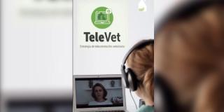 TeleVet teleorientación gratis para dueños de perros y gatos en Bogotá Atención veterinaria gratis en Bogotá: accede a la plataforma Televet