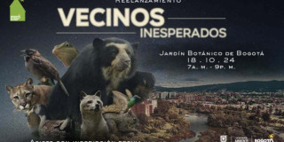 ‘Vecinos Inesperados’, película de biodiversidad de Bogotá inscríbete