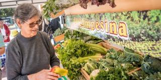 Mercados Solidarios la apuesta de Bogotá por acceso justo a alimentos