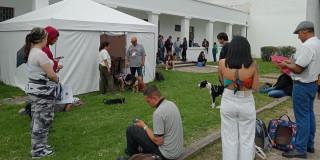 Esterilización gratuita de mascotas de Bogotá en Universidad Nacional