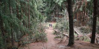 Recomendaciones para visitar los senderos ecológicos de Bogotá 2024