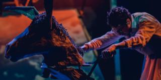 Obra de teatro en Bogotá ‘EresMyEma’ vida de Emma Reyes 29 de marzo