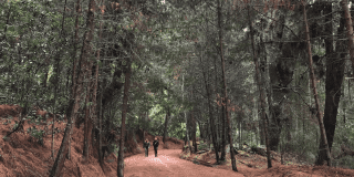 Horarios senderos de los Cerros Orientales en Bogotá Semana Santa 2025