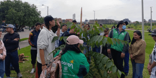 Bogotá fortalece su gran cobertura vegetal con 399 árboles sembrados