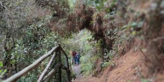 Aplicación para reservar cupo en los senderos ecológicos de Bogotá