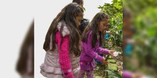 Bogotá forma guardianes del planeta en sus Vacaciones Científicas