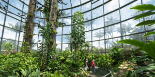 Planes en Bogotá con eventos del Jardín Botánico durante mayo 2025