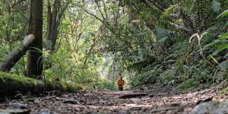 Paro Nacional estarán abiertos los senderos de Bogotá 28 y 29 de mayo