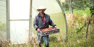 Feria y Mercado Campesino en la localidad de Usme de Bogotá