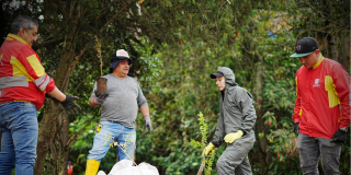 Jornada de embellecimiento y recuperación Quebrada La Pichosa Bogotá