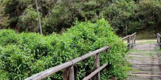 Plan piloto en Bogotá para recorrer el camino Santa Ana en bicicleta