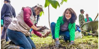 Semana Ambiental y Día Mundial del Medio Ambiente en Bogotá 2025