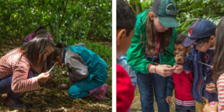 Bogotá apuesta por la educación ambiental en sus vacaciones científicas