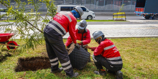 Día Mundial del Medio Ambiente 2025 construcción Bogotá más sostenible