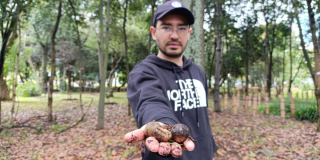 Encontrémonos en bosques urbanos, estrategia Jardín Botánico Bogotá