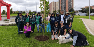 Inició celebración Semana Ambiental Bogotá con plantación de árboles