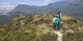 Participa en caminatas ecológicas del Festival Calma en Bogotá 2025