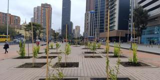 Bulevar estación Museo Nacional Bogotá recuperó sus materas y plantas