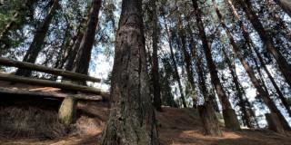 Caminatas ecológicas en senderos de Cerro Orientales de Bogotá 2025