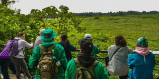 Participa en votación Comisión Ambiental de Usaquén en Bogotá 2025