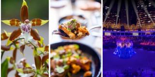 Planes en Bogotá y conciertos para celebrar Día de Amor y Amistad 2025