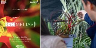 Imagen con información de la IV Exposición de Bromelias 'Refugios de Vida'