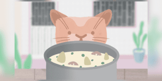 Imagen de un gato cafeclaro que enfrente tiene una olla gris con comida