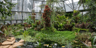 Imagen del interior de las instalaciones del Jardín Botánico.