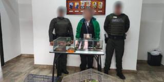 Foto de las autoridades con animales recuperados por tráfico ilegal