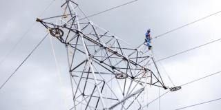 Foto que muestra trabajadores de Enel Colombia realizando labores de mantenimiento