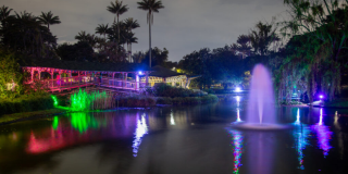 Imagen del Jardín Botánico alumbrado de navidad