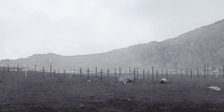 Imagen panorámica de lo que quedó de la ciudad de Armero, solo se ve tierra y cruces en el suelo.