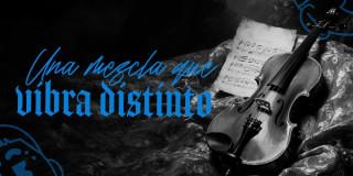 Imagen de un violín en blanco y negro y letras vibra distinto