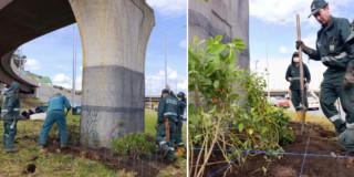 Fotos de los 11 nuevos jardines bajo puentes calle 127 con avenida Boyacá en Bogotá