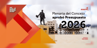 Imagen de la pieza gráfica que indica la aprovación del consejo.