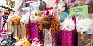 Exhibición de juguetes