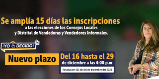 Imagen gráfica del IPES de los Consejos Locales Vendedores Informales 2025.