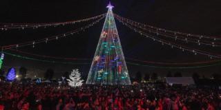 Foto de alumbrado navideño en Bogotá